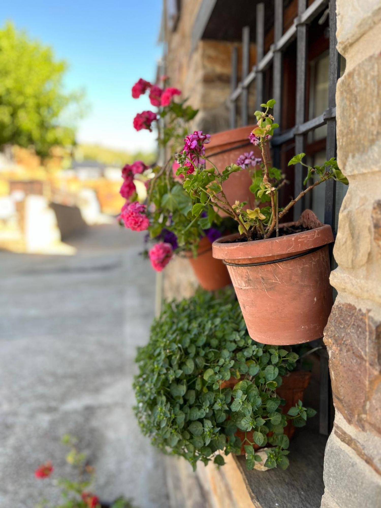 La Casina De Gelo Villa Riego de Ambros Exteriör bild