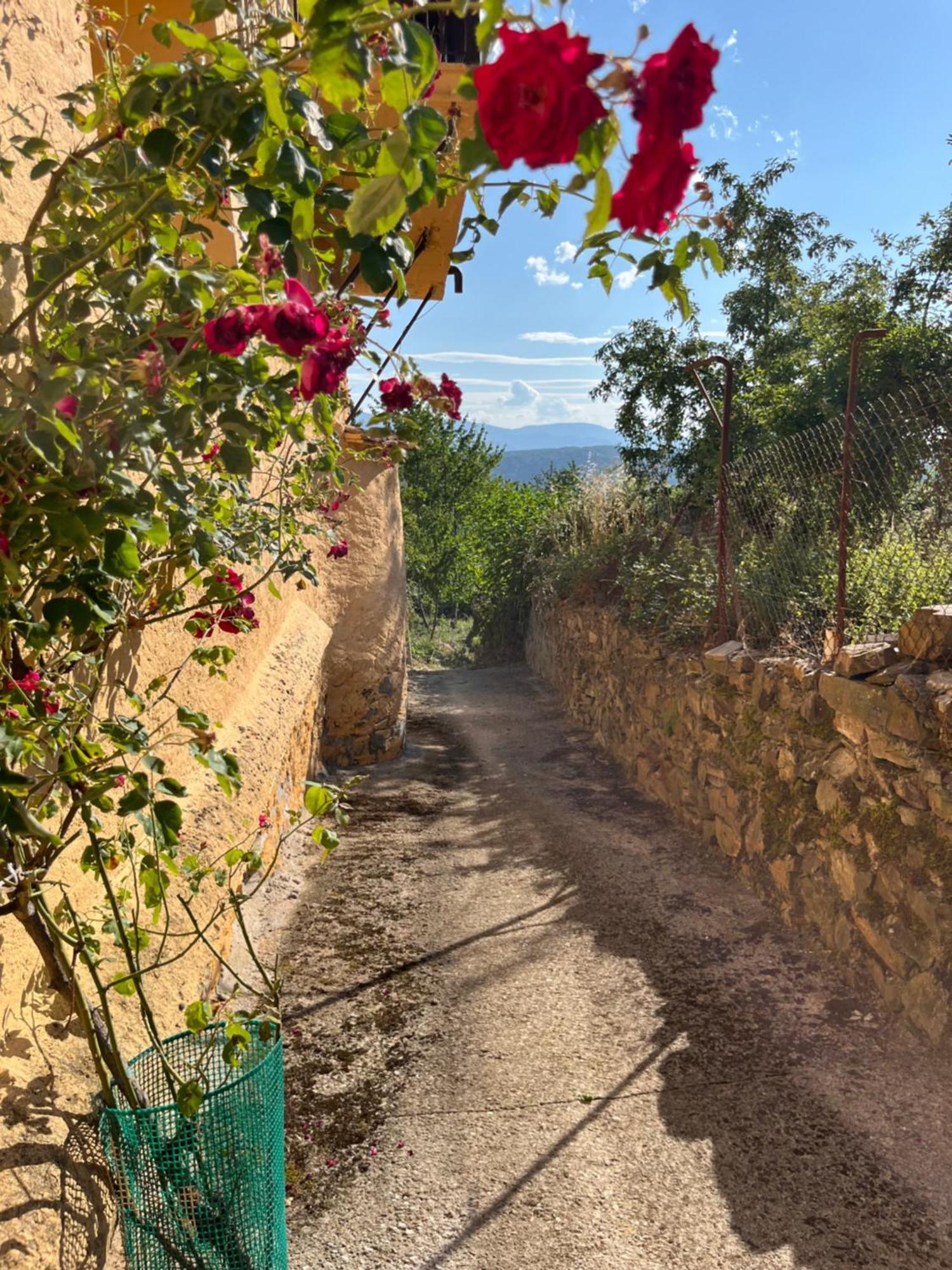 La Casina De Gelo Villa Riego de Ambros Exteriör bild
